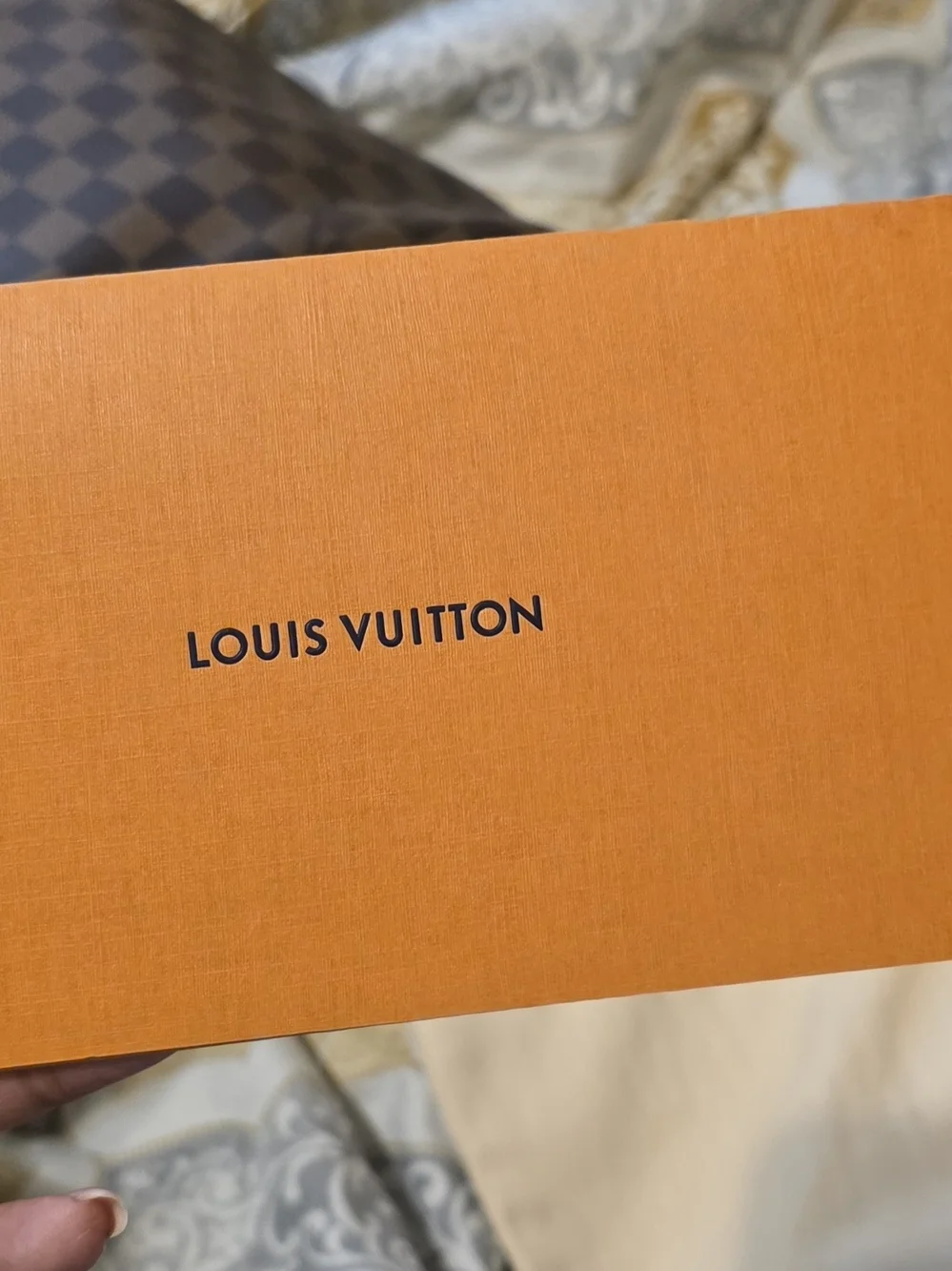 Louis Vuitton Duomo Hobo Bag
